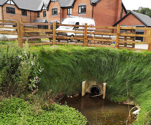 Rootlok Vegetated Headwalls