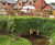 Rootlok Vegetated Headwalls 0