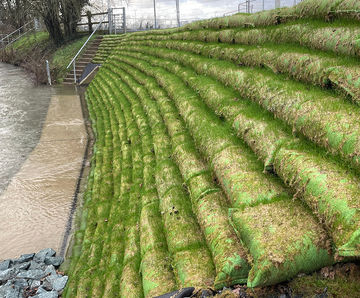 Rootlok - vegetated wall system for erosion control