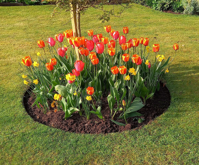 EverEdge Garden Ring edging