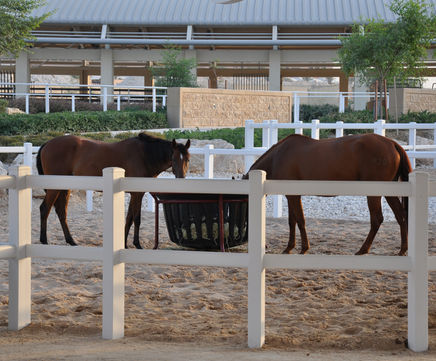 Duralock equestrian and racing paddock fencing