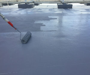 Delta Roof Guard - cold liquid-applied waterproofing