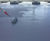 Delta Roof Guard - cold liquid-applied waterproofing 0