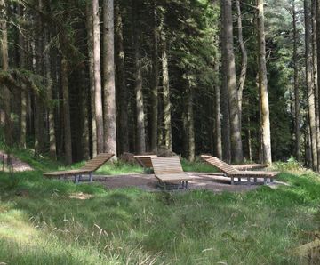TORD FSC timber and stainless steel lounger