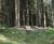 TORD FSC timber and stainless steel lounger 0