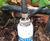 Sensor provides pore water conductivity readings for Lualtek 0