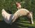 layside playsculture® by moveart 0