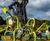 Climbing Unit Mantis - 7000230 0