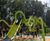 Climbing Unit Mantis - 7000230 3