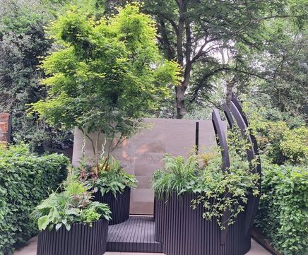 AirPot-grown specimen trees for 11 gardens at Chelsea Flower Show