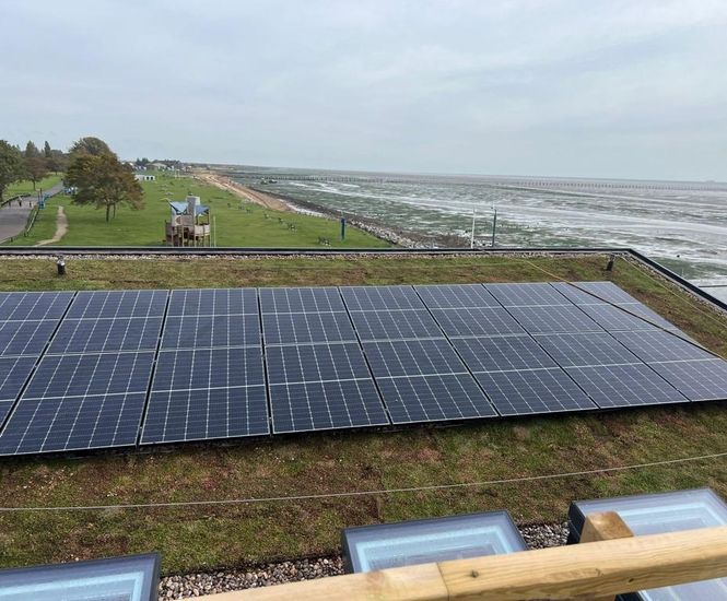 Sedum extensive green roof for East Beach Cafe, Southend-on-Sea