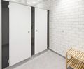 Duo shower and toilet washroom cubicle system