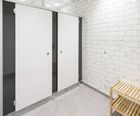 Duo shower and toilet washroom cubicle system