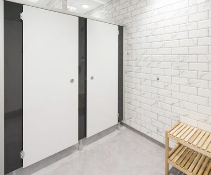 Duo shower and toilet washroom cubicle system