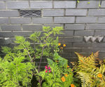 Vision clay bricks