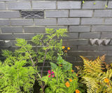 Vision clay bricks - on this page