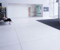 Terrazzo flooring