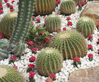 Polar White Spanish marble pebbles