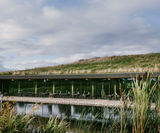 Hydroseeding a roof with wildflower seed - Gloucester Gateway - on this page