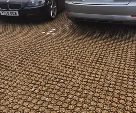 CellPave® 40 Interlocking Cellular Paving Grid
