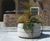 Onice Planter 6