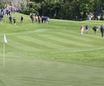 MM22 grass seed mixture for tees, fairways and driving ranges