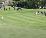 MM22 grass seed mixture for tees, fairways and driving ranges - on this page
