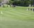 MM22 grass seed mixture for tees, fairways and driving ranges 0