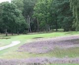 MM12 - grass seed mixture for tees, fairways and roughs - on this page