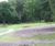 MM12 - grass seed mixture for tees, fairways and roughs 0