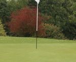 MM11 - grass seed mixture for golf and bowling greens
