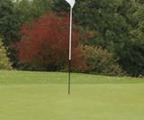 MM11 - grass seed mixture for golf and bowling greens - on this page
