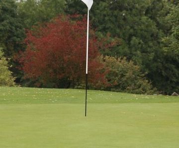 MM11 - grass seed mixture for golf and bowling greens