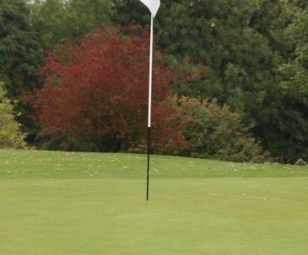 MM11 - grass seed mixture for golf and bowling greens