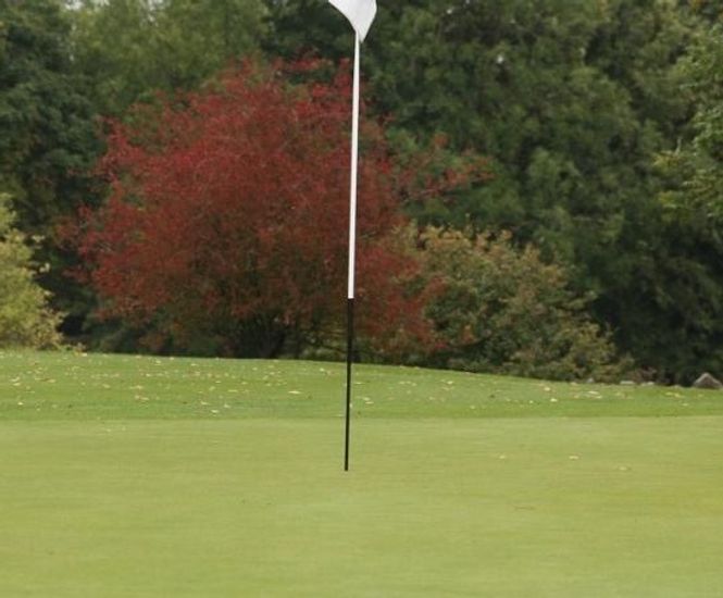 MM11 - grass seed mixture for golf and bowling greens