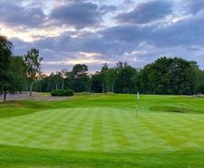 MM10 grass seed mixture for golf greens and tees