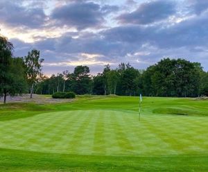 MM10 grass seed mixture for golf greens and tees