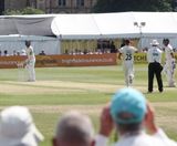 MM29 grass seed mixture for cricket squares and outfields - on this page