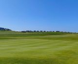 MM8 grass seed mixture for golf greens - on this page