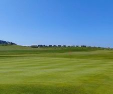 MM8 grass seed mixture for golf greens