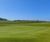MM8 grass seed mixture for golf greens 0