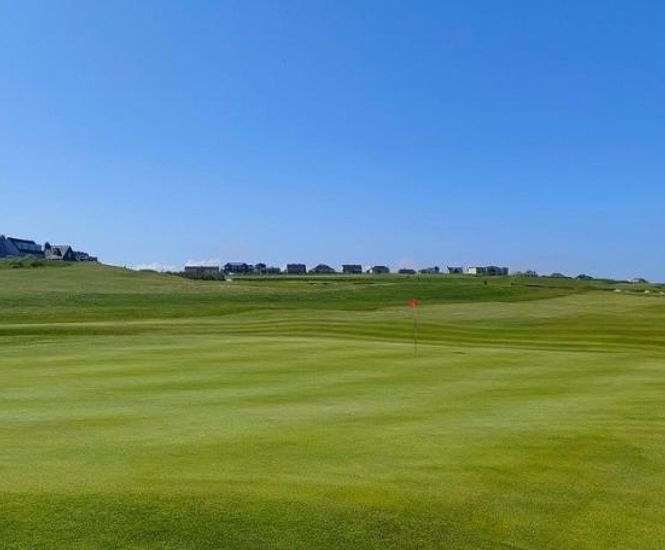 MM8 grass seed mixture for golf greens