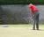 MM7 grass seed mixture for extreme wear golf greens 0