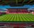 MM60 grass seed mixture for winter sports renovation 0