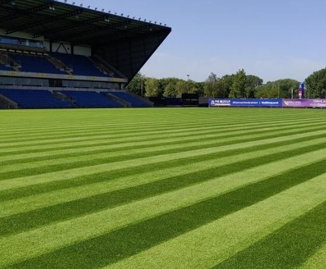 MM Tetra Sport winter sports overseeding mixture