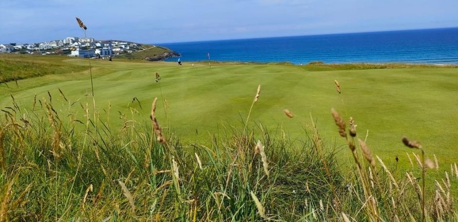 MM13 grass seed mixture for golf tees, fairways and roughs | Images