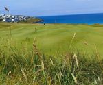 MM13 grass seed mixture for golf tees, fairways and roughs