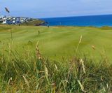 MM13 grass seed mixture for golf tees, fairways and roughs - on this page