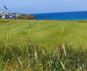 MM13 grass seed mixture for golf tees, fairways and roughs