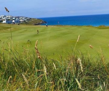 MM13 grass seed mixture for golf tees, fairways and roughs